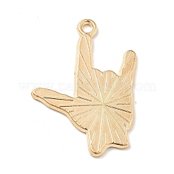 Rainbow Color Alloy Enamel Pendants&nbsp;LS-ENAM-G208-19KCG