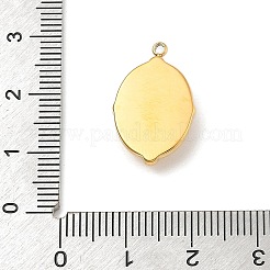 Natural Lapis Lazuli Pendants&nbsp;STAS-F312-02G-01