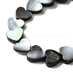 Natural Black Lip Shell Beads Strands&nbsp;BSHE-D300-06B