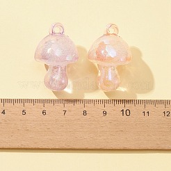 Transparent Acrylic Pendants&nbsp;MACR-FS0001-54