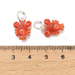 Alloy Enamel Pendants&nbsp;ENAM-I080-04S-04