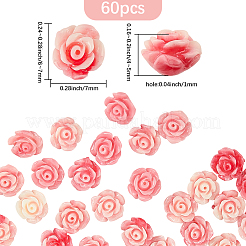 60Pcs Synthetic Shell Dyed Beads&nbsp;SHEL-PA0001-01B