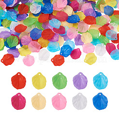 500Pcs 10 Colors Transparent Frosted Acrylic Pendants&nbsp;MACR-YS0001-03