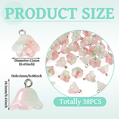 38Pcs Glass Charms&nbsp;GLAA-TADJ0001-19C