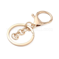 Alloy Keychain Clasps&nbsp;X-FIND-C084-10KCG