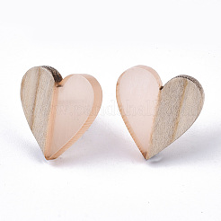 Transparent Resin & Wood Stud Earrings&nbsp;EJEW-N017-002A-D07
