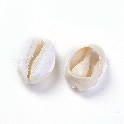 Cowrie Shell Beads&nbsp;BSHE-G019-02F