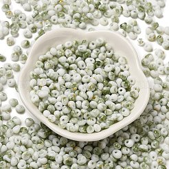 Baking Paint Glass Seed Beads&nbsp;SEED-F006-01A-05