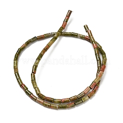 Natural Unakite Beads Strands&nbsp;G-P600-B06-01A