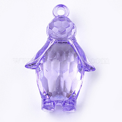 Transparent Acrylic Pendants&nbsp;TACR-S149-03