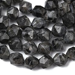Natural Larvikite Beads Strands&nbsp;G-Z119-A32-03