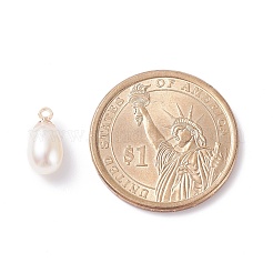 Natural Pearl Charms&nbsp;X-PALLOY-JF01281-02