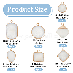 14Pcs 7 Styles Natural Freshwater Shell Pendants&nbsp;SHEL-BC0001-035