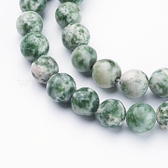Gemstone Beads Strands&nbsp;X-GSR6mmC006