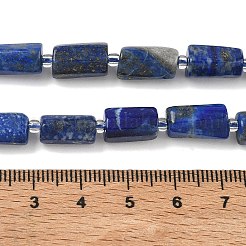 Natural Lapis Lazuli Beads Strands&nbsp;G-K365-I01-01