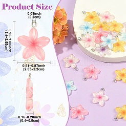 20Pcs Transparent Resin Pendants&nbsp;RESI-YW0006-06