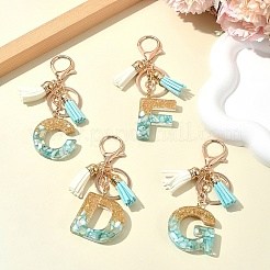 Transparent Epoxy Resin Pendant Keychains&nbsp;KEYC-FS00022-25