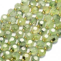 Natural Prehnite Beads Strands&nbsp;G-C116-A07-02