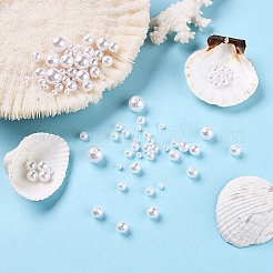 443Pcs 5 Sizes ABS Plastic Imitation Pearl Beads&nbsp;KY-YW0001-10