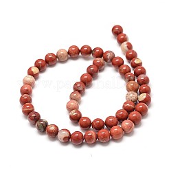 Natural Red Jasper Beads Strands&nbsp;G-P075-56-8mm