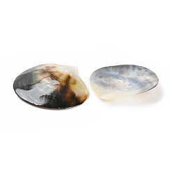 Natural Black Lip Shell&nbsp;BSHE-Z003-42