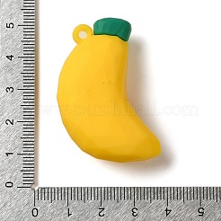 PVC Plastic Pendants&nbsp;KY-N023-02C