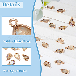 16Pcs Natural Paua Shell Pendants&nbsp;SHEL-BC0001-030