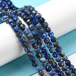 Natural Lapis Lazuli Beads Strands&nbsp;G-C052-05B