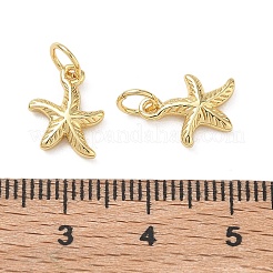 Brass Charms&nbsp;KK-D289-52A-G