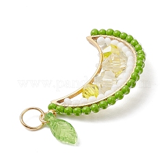 Round Glass Seed Beaded Fruit Pendants&nbsp;PALLOY-MZ00864-03