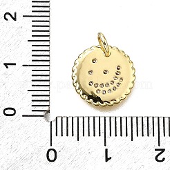 Brass Micro Pave Clear Cubic Zirconia Charms&nbsp;KK-V011-53G