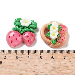 Opaque Resin Decoden Cabochons&nbsp;CRES-A057-01