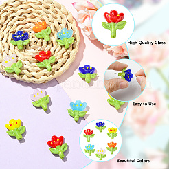 12Pcs 6 Colors Handmade Lampwork Beads&nbsp;LAMP-PA0001-04
