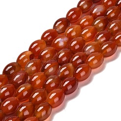 Natural Agate Beads Strands&nbsp;G-B079-E01-01