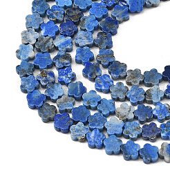 Natural Lapis Lazuli Beads Strands&nbsp;G-B138-C22-01