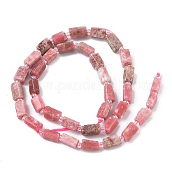 Natural Rhodonite Beads Strands&nbsp;G-C270-K12
