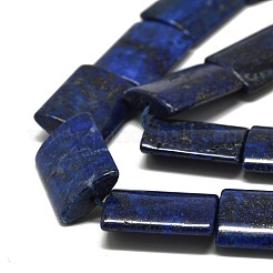 Natural Lapis Lazuli Beads Strands&nbsp;G-K311-07B