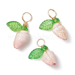12Pcs 4 Styles Natural Sea Shell Copper Wire Wrapped Pendants&nbsp;PALLOY-JF03610