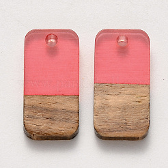 Resin & Walnut Wood Pendants&nbsp;RESI-S384-008A