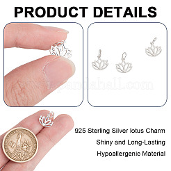 6Pcs Hollow 925 Sterling Silver Charms&nbsp;STER-DR0001-35