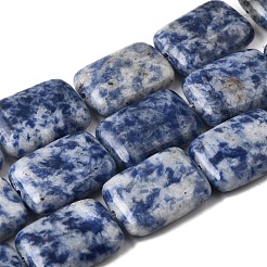 Natural Blue Spot Jasper Beads Strands&nbsp;G-S386-A05