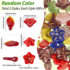 60Pcs 2 Styles Transparent Glass Beads&nbsp;GLAA-SC0002-96
