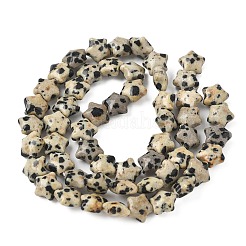 Natural Dalmatian Jasper Star Beads Strands&nbsp;G-Z080-A08