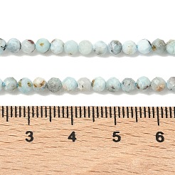 Natural Larimar Beads Strands&nbsp;G-F785-B01-01A