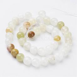 Natural Green Banded Calcite(Afghan Jade) Round Beads Strands&nbsp;GSR10mmC008