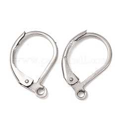 Tarnish Resistant 316L Surgical Stainless Steel Leverback Earring Findings&nbsp;STAS-E194-03P