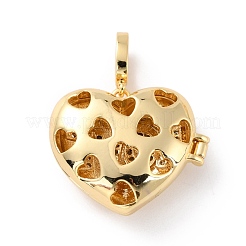 Brass Micro Pave Cubic Zirconia Diffuser Locket Pendants&nbsp;ZIRC-Z018-05G