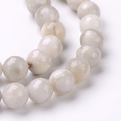 Faceted Natural Agate Round Bead Strands&nbsp;X-G-L383-11-4mm