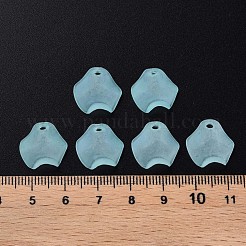 Transparent Acrylic Beads&nbsp;MACR-S373-106-D04