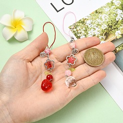 2Pcs Acrylic & Glass Mobile Straps&nbsp;HJEW-YW00191